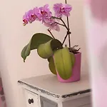 בית נופש L'hermine *